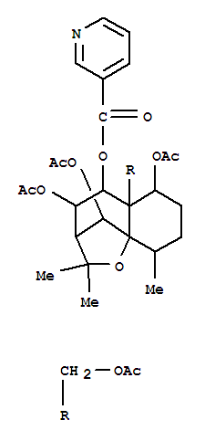 CAS 122475-51-8 molecular structure