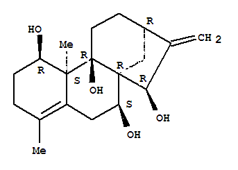 CAS 125107-51-9 structure