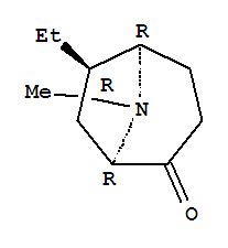 CAS 197588-51-5 molecular structure
