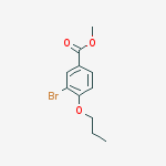 CAS 216965-51-4 molecular structure